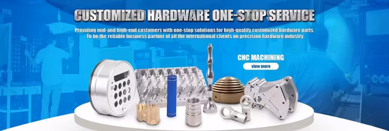 Parti di fresatura/forgiatura/blocco di rame in ottone lavorato a CNC Industria europea Parti precise di fresatura CNC in rame